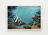 light wood framed angel fish original painting wall art print